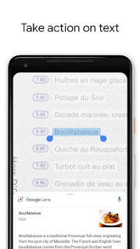 Google Lens screenshot 1