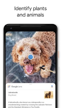 Google Lens screenshot 3
