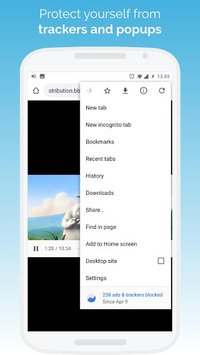 Kiwi Browser - Fast & Quiet screenshot 2