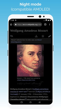Kiwi Browser - Fast & Quiet screenshot 3